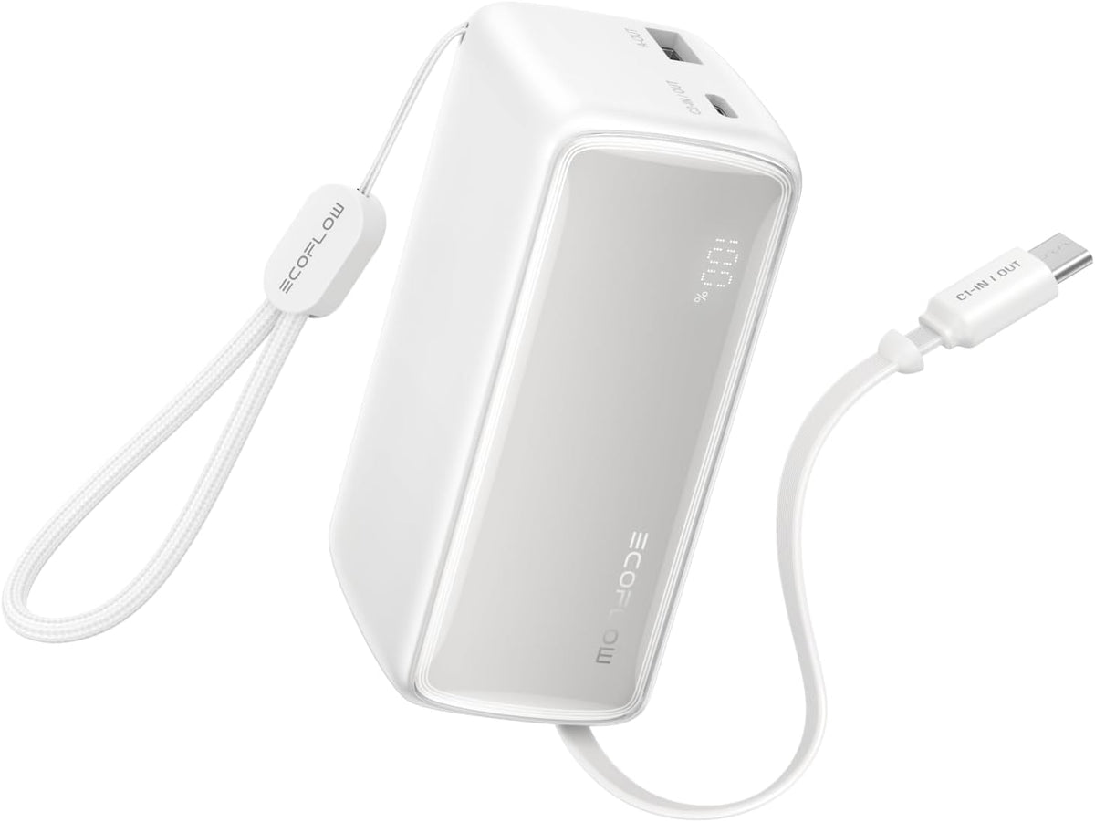 EF ECOFLOW Rapid - Cargador portátil de 45 W de 10000 mAh con cable...