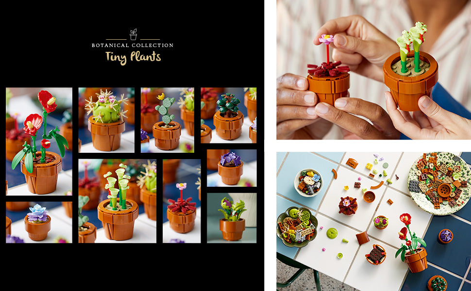 LEGO Botanicals - Juego de plantas de interior