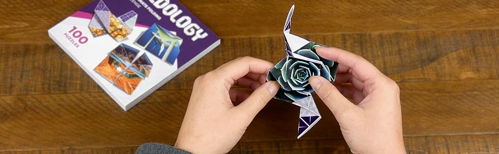 Foldology - Juego de rompecabezas de origami Pruebas de