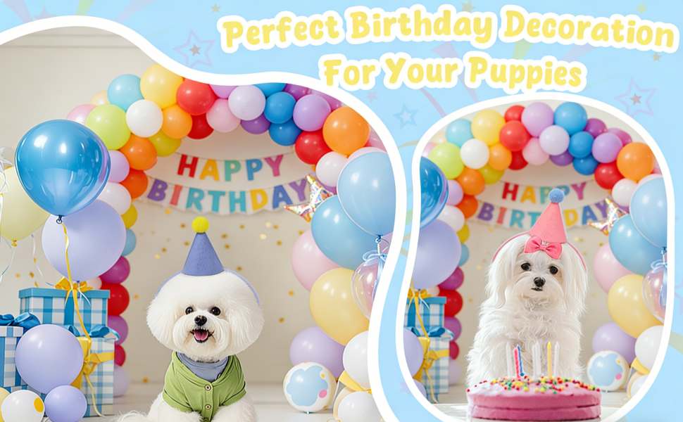 12 mini sombreros de fiesta para animales de peluche