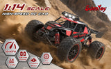 Scientoy Auto de control remoto 114 30KM/H de alta