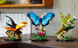 LEGO Ideas The Insect Collection - Regalo divertido para