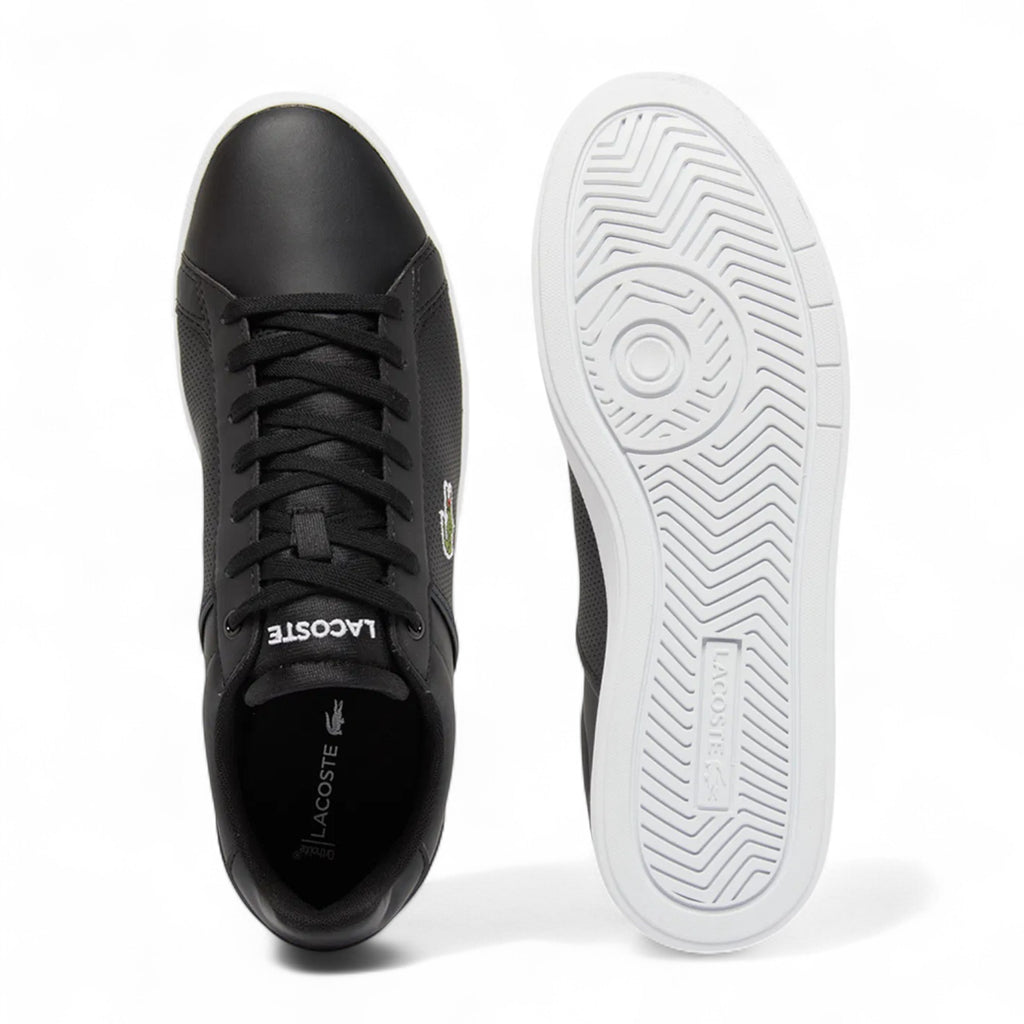Zapatilla Hombre Lacoste Base A0113 100% Original