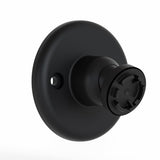 Montajes de cámara de seguridad inteligente Blink Outdoor
