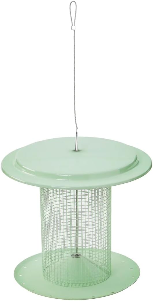 Birds Choice Moderno comedero para pájaros con semillas de girasol de