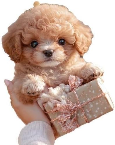 CYSTISKYS Juguete de peluche para cachorros de salto con