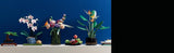 LEGO Botanicals Orchid - Juego de construcción de flores