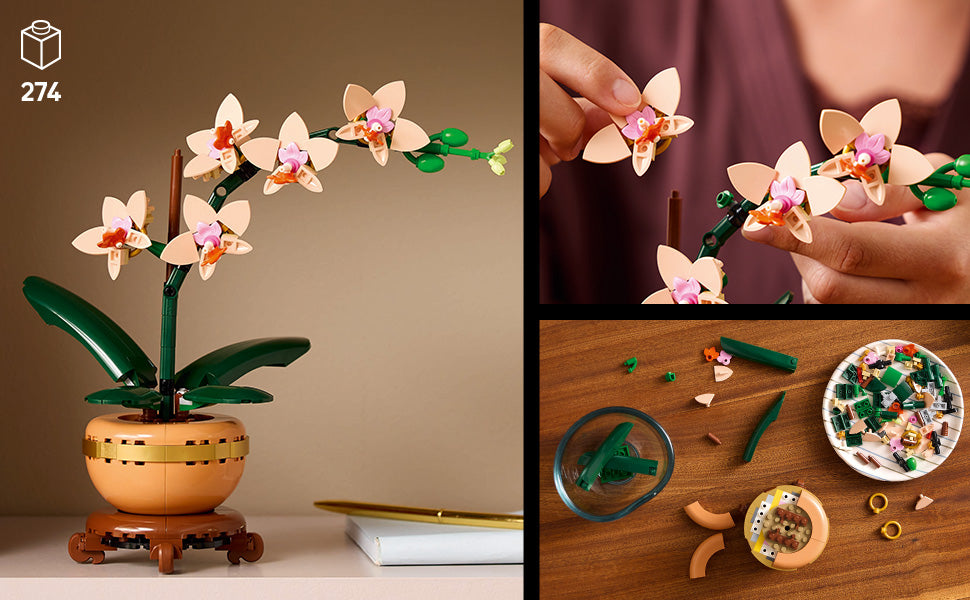 LEGO Botanicals - Juego de construcción de orquídeas