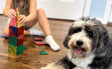 CreateOn Crayola Mini azulejos magnéticos PIP juego de