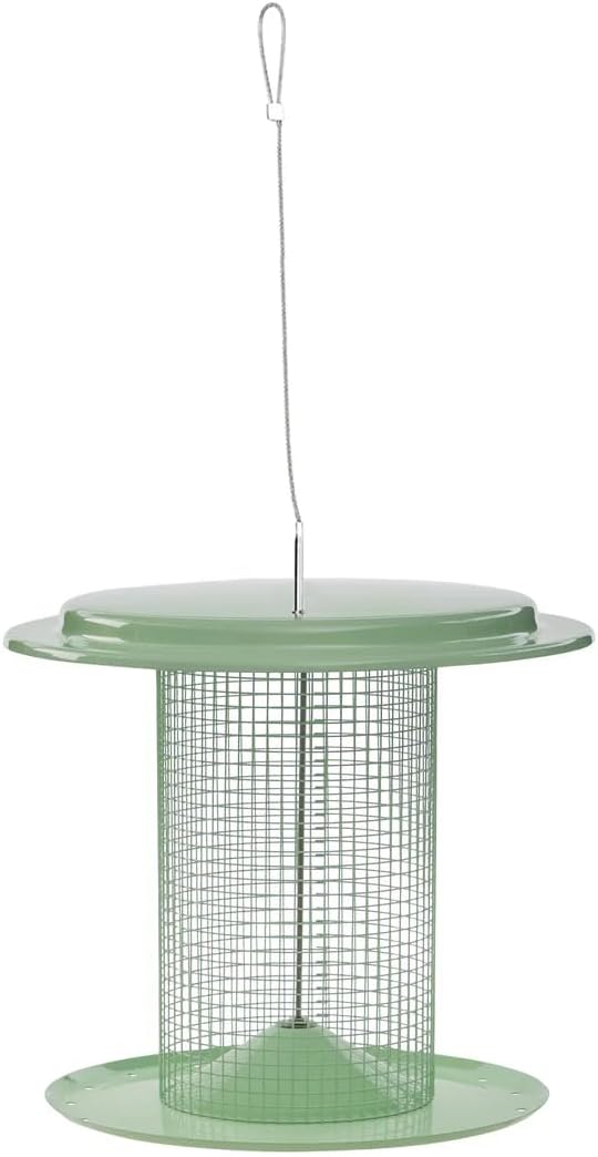 Birds Choice Moderno comedero para pájaros con semillas de girasol de