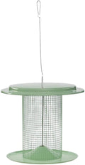 Birds Choice Moderno comedero para pájaros con semillas de girasol de