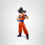 TAMASHII NATIONS - Dragon Ball Z - Son Goku, Son Goku (el Saiyajin de buen corazón)