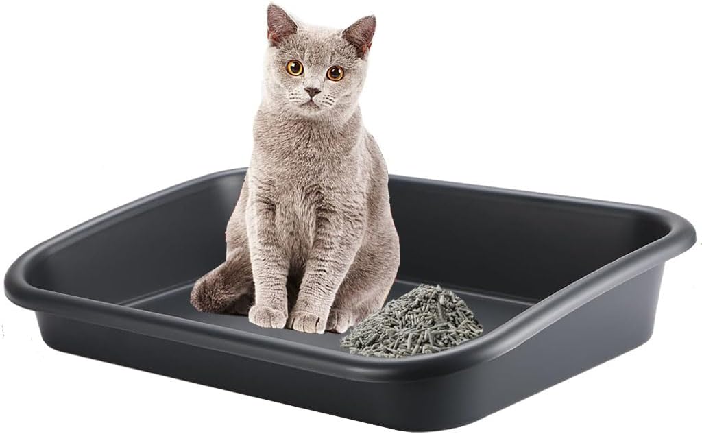 Caja de arena extra grande con lados altos de 23.23 pulgadas de largo x 16.54 pulgadas de ancho x 4.33 pulgadas de alto, plástico ABS de entrada baja para personas mayores, caja de arena segura para