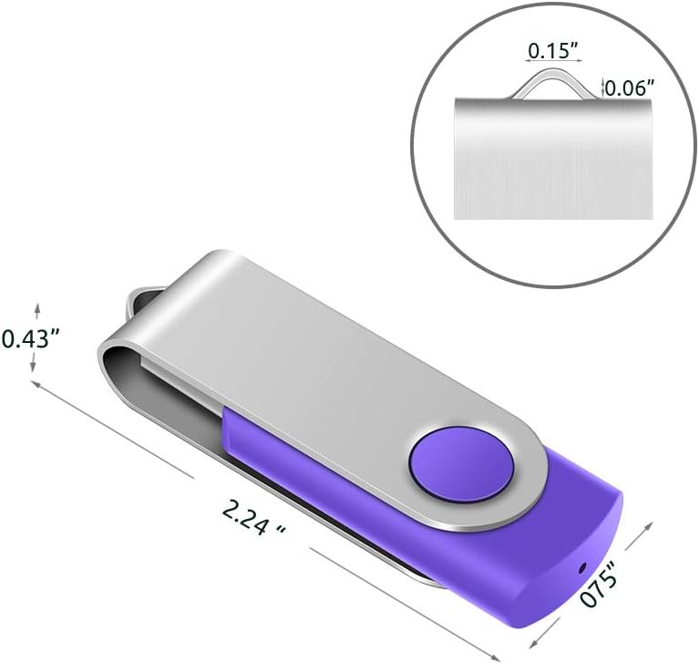 Enfain Paquete de 10 unidades de memoria USB Purple Flash Drive de...