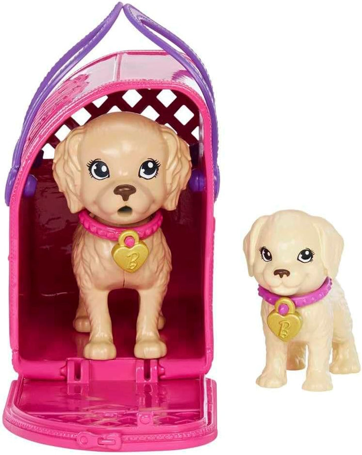 Set de Muñeca de Adopción de Cachorro Barbie y Accesorios con Cambi...