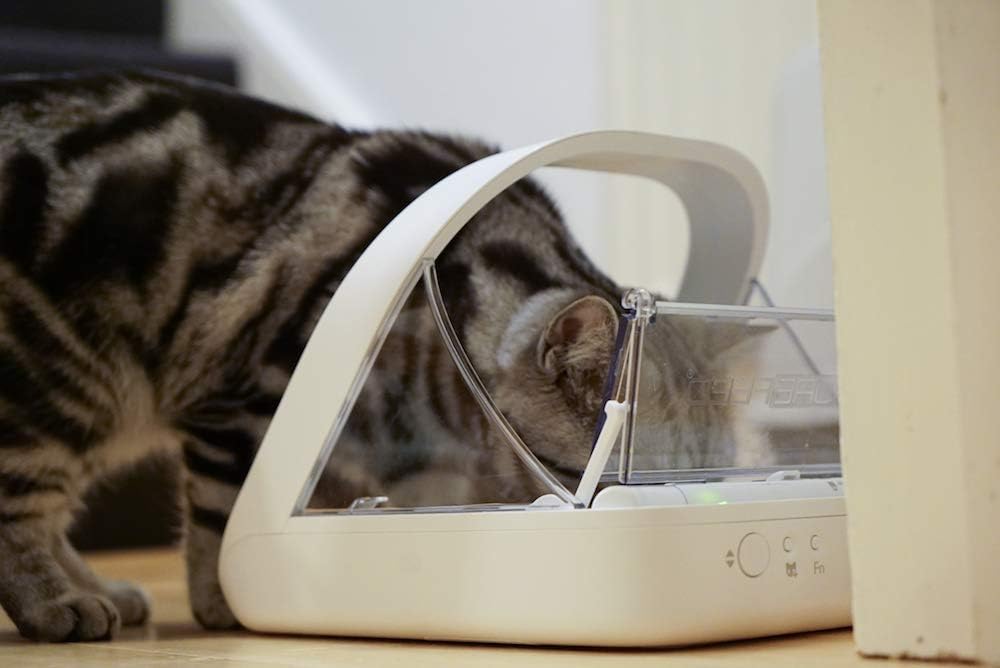 Sure Petcare -SureFlap - SureFeed - Alimentador para mascotas con microchip - Comedero automático selectivo para mascotas que hace que las comidas sean libres de estrés, adecuado tanto para alimentos