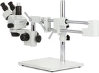 AmScope Microscopio estéreo profesional del zoom trinocular de SM-4T, WH10x