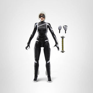 Marvel Legends Series Gamerverse Black Cat Felicia Hardy, Spider-Ma...