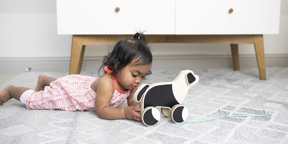 LOVEVERY |The Pull Pup | Juguete de madera para empujar y jalar, madera negro/blanco/natural, juguete sostenible para niños pequeños, a partir de 18 meses