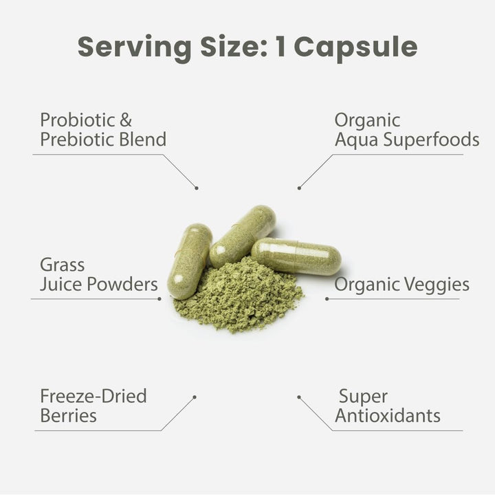 Paradise Herbs Earth's Blend Multivitamínico diario para mujer...