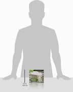 Pokémon TCG: Caja de Entrenador Élite de Mega Evolución—Orden Perfecta