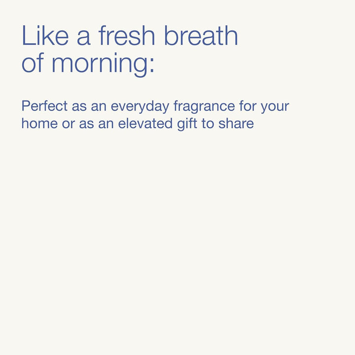 Bath &amp; Body Works Crisp Morning Air - Jabón de manos espumoso s...