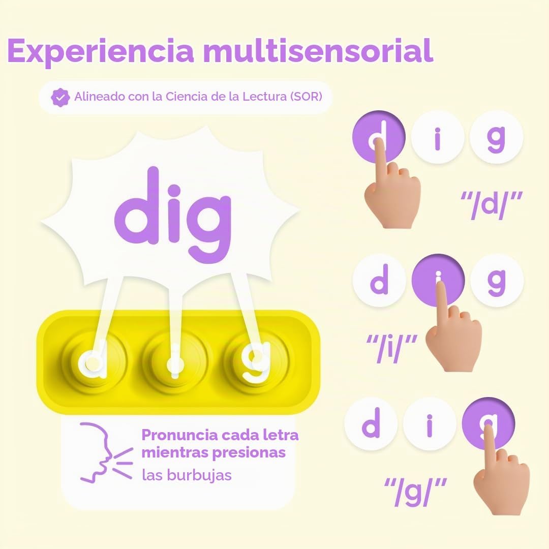 THE FIDGET GAME Elfos Furtivos, Juego de Palabras de Vista CVC, Juguete Sensorial Pop para Aprender y Deletrear, Actividades Educativas en el Aula de Kindergarten, Lectura Multisensorial y Tarjetas