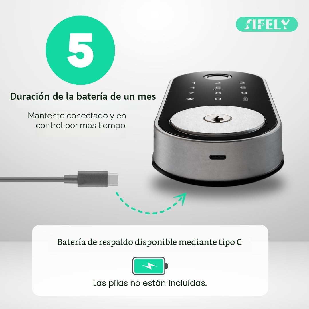 Cerradura inteligente incorporada con huella dactilar y WiFi con te...