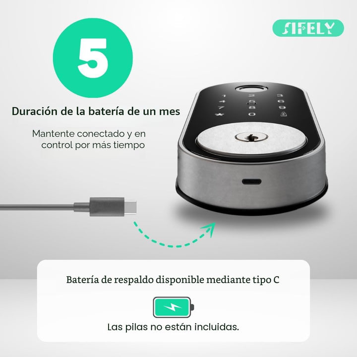 Cerradura inteligente incorporada con huella dactilar y WiFi con te...