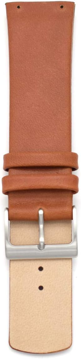 Correa de reloj de repuesto para relojes Skagen para hombre de 0.866 in con tornillos