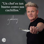 HexClad Juego de cuchillos para carne de acero Damasco de 4 piezas, espiga