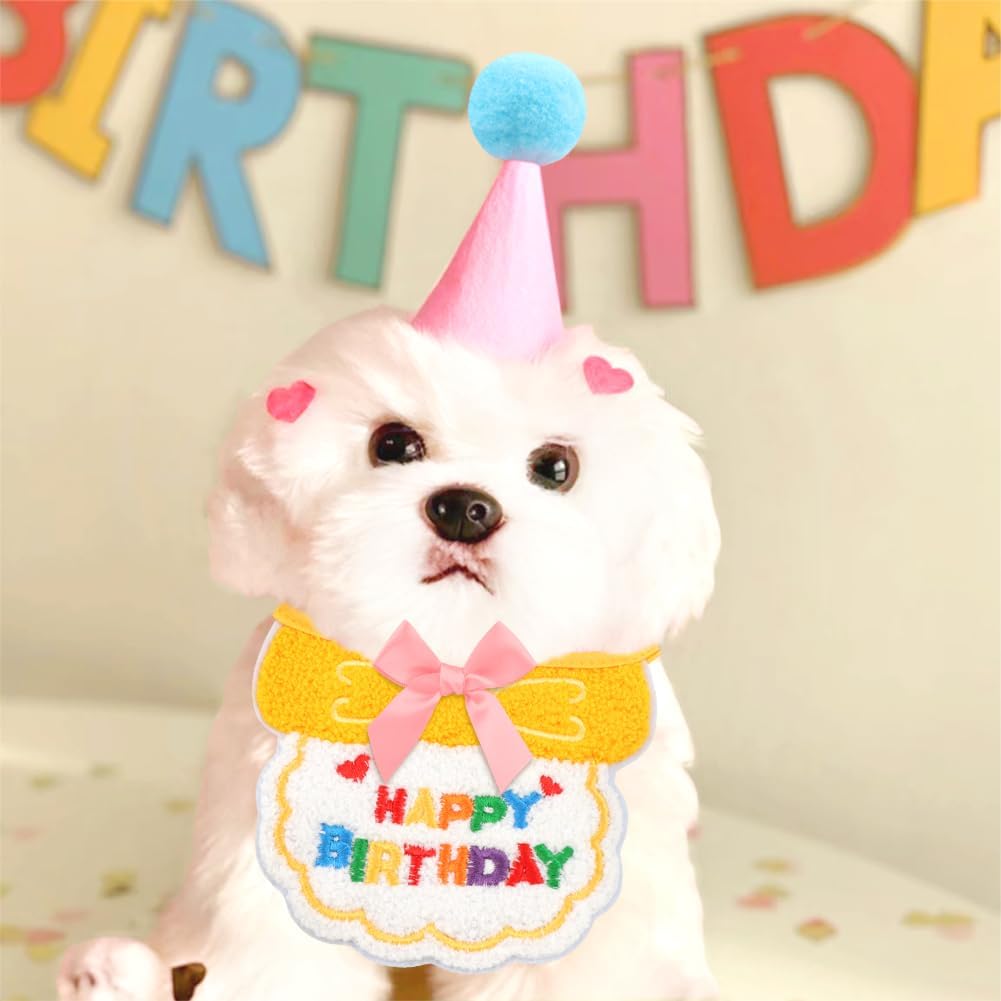 12 mini sombreros de fiesta para animales de peluche
