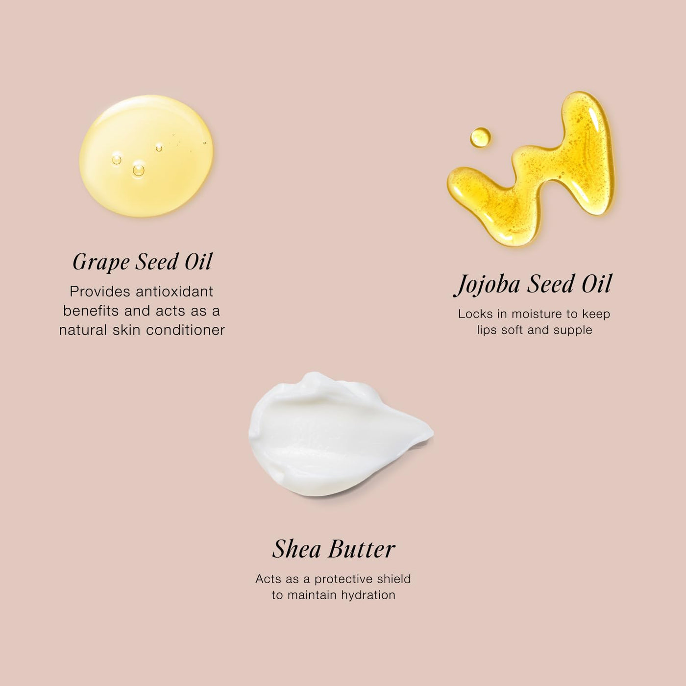 Jouer Les Must-Haves Starter Set | Polvo fijador translúcido, broch...