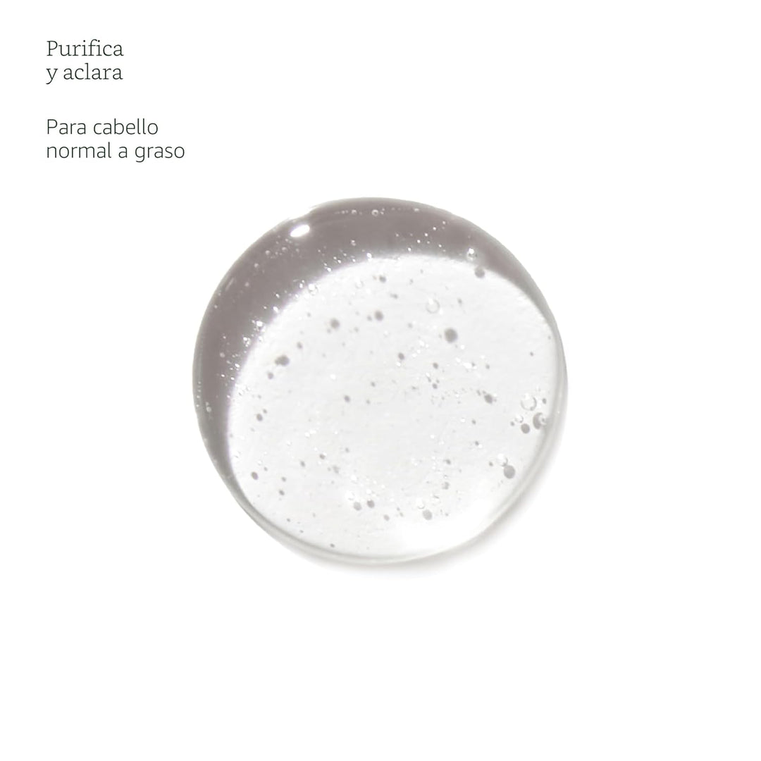 Aveda Rosemary Mint Purifying Shampoo | Clarifying Shampoo | Gently...