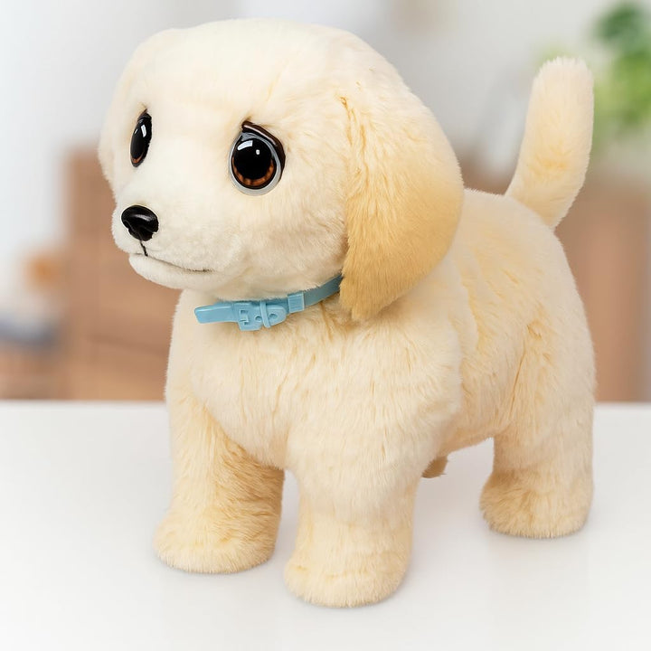 Little Live Pets Ouchies Cooper The Retriever Puppy, más de 50 soni...