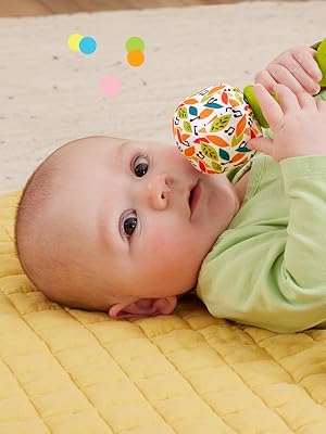 Fisher-Price Chupete de koala de juguete para bebés