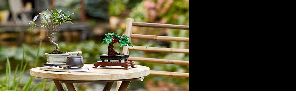 LEGO Botanicals - Juego de construcción de árbol bonsái