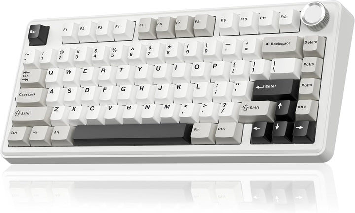 SOLAKAKA Teclado mecánico inalámbrico A75 75%, teclado para juegos...