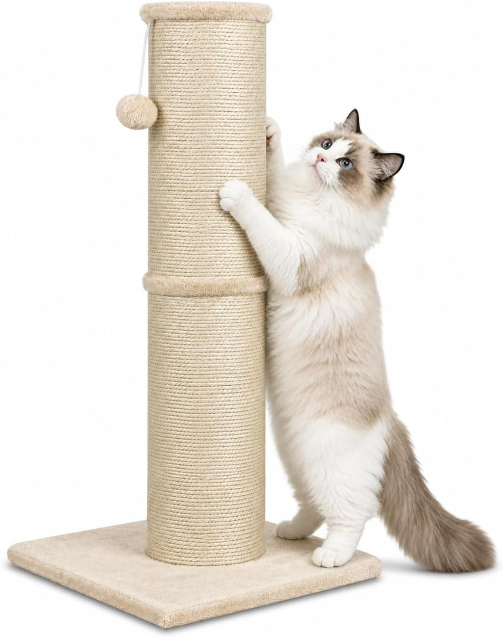 Poste rascador para gatos con poste de sisal de 5.5 pulgadas de