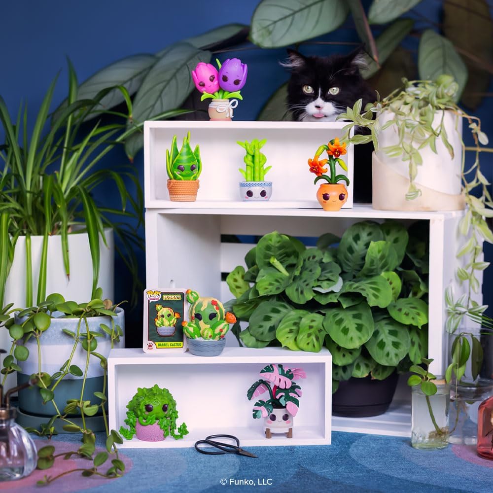 Funko Pop! Mystery: Flora Plants Series Caja ciega - Figura sorpresa de