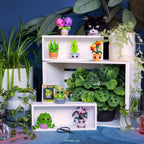 Funko Pop! Mystery: Flora Plants Series Caja ciega - Figura sorpresa de