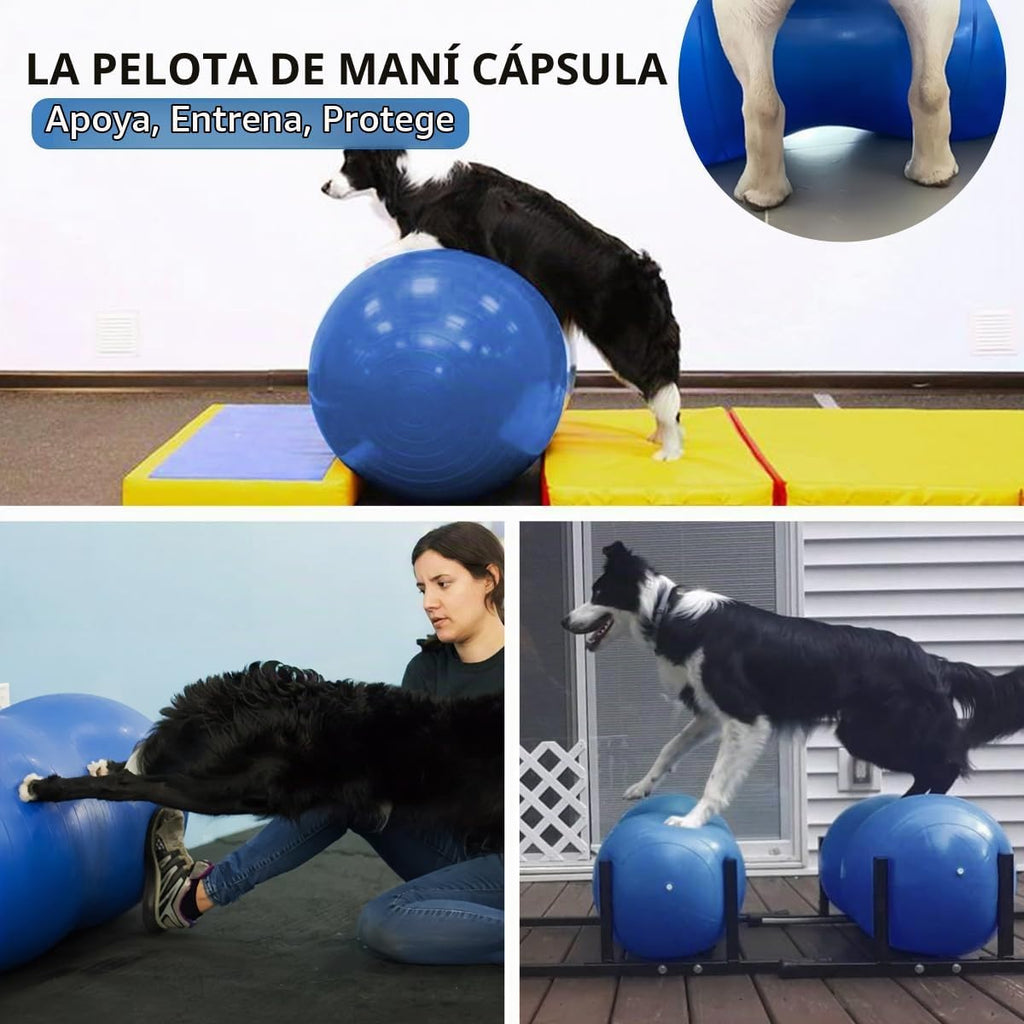 Pelota de cacahuete para perros para fitness y rehabilitación canina para razas pequeñas, medianas y grandes, equipo de ejercicio antiestallido para fortalecer el núcleo, entrenamiento de equilibrio, estabilidad de las piernas traseras (pequeño, para pier