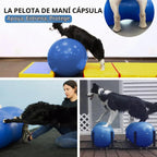 Pelota de cacahuete para perros para fitness y rehabilitación canina para razas pequeñas, medianas y grandes, equipo de ejercicio antiestallido para fortalecer el núcleo, entrenamiento de equilibrio, estabilidad de las piernas traseras (pequeño, para pier