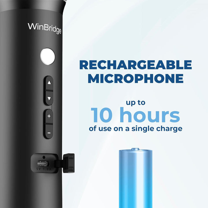 Amplificador inalámbrico de voz del micrófono de Bluetooth con 3 ef...