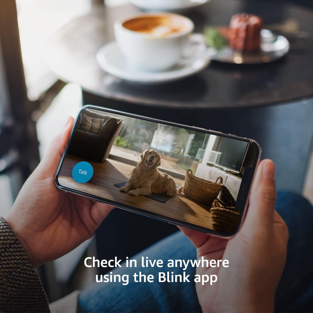 Blink Mini - Cámara de seguridad inteligente compacta, conectable, para interiores, Black, 2 Cameras