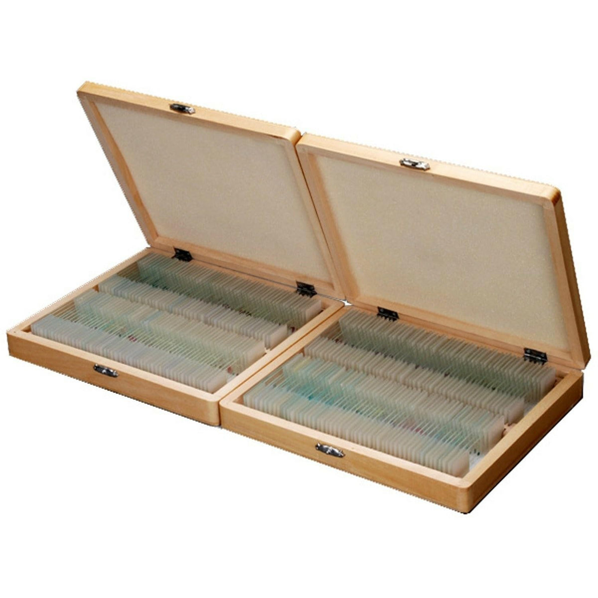 AmScope PS200 juego de portaobjetos con preparados básicos de biología, para uso escolar y académico, juego de 200 portaobjetos de vidrio con preparados, incluye caja de almacenamiento de madera