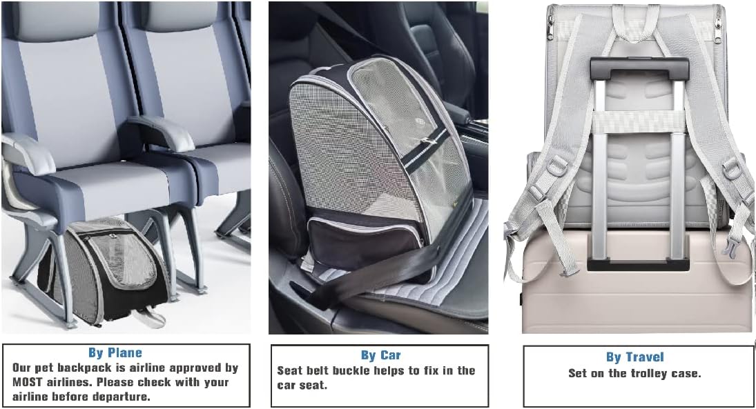 Texsens - Mochila para transporte de mascotas, con un innovador sistema de burbuja, ideal como transportín para gatos y perros (negro)