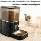 Alimentador automático para gatos con cámara de video bidireccional