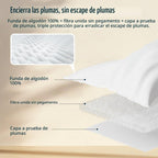 Pacific Coast Almohadas prémium de plumas de ganso y plumón tamaño King, paquete de 2, colección de calidad de hotel, almohada de firmeza media para personas que duermen de lado y espalda