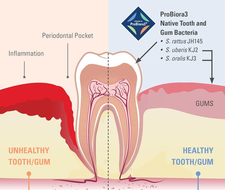 Comprimidos masticables con probiótico ProBiora Oral-Care | Supleme...